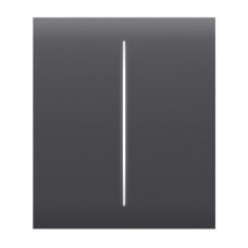 Кнопка Ajax CenterButton (2-gang) graphite для двоклавішного вимикача
