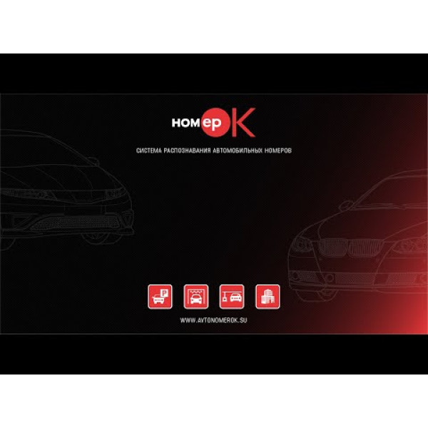 ПЗ для розпізнавання автономерів HOMEPOK Lite 2 канали