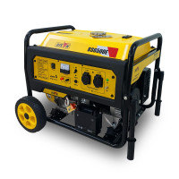 Бензиновий генератор BISON BS6500E